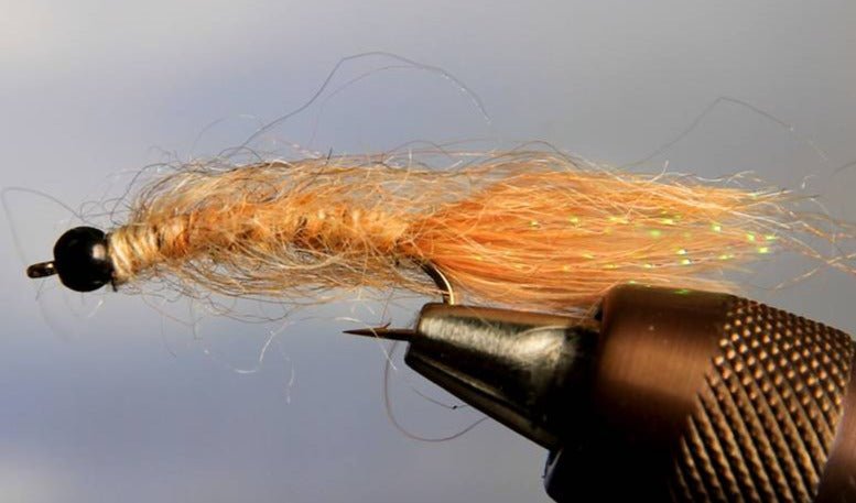 BH Vanilla Leech - Get Tight Gear