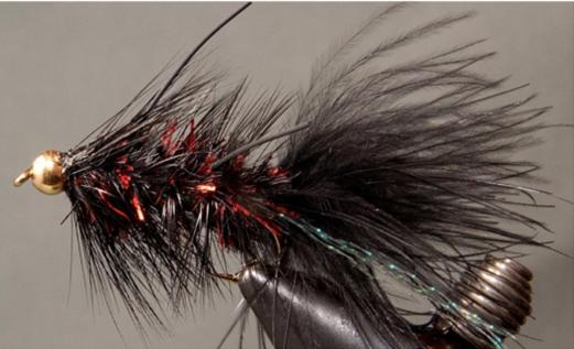 BH Woolly Bugger - Get Tight Gear
