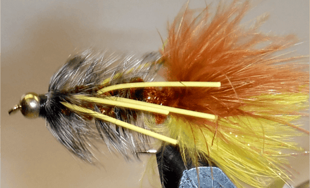 BH Woolly Bugger - Get Tight Gear