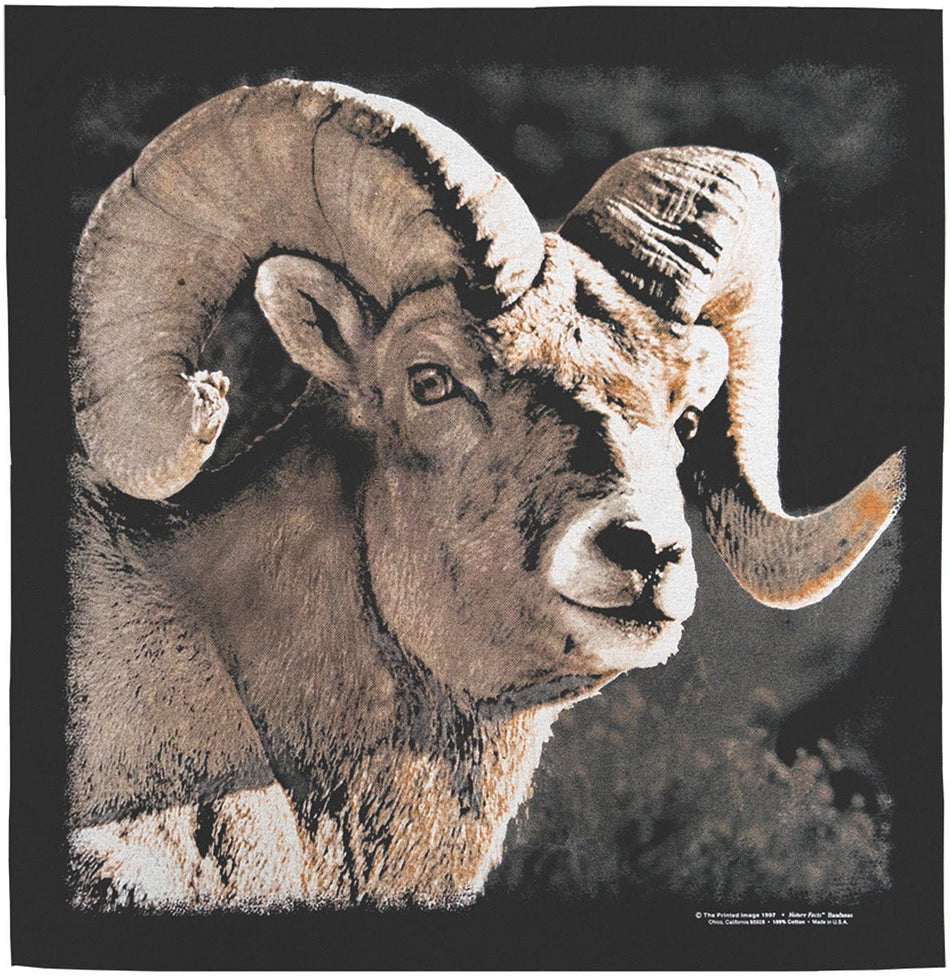 Bighorn Bandana - Get Tight Gear
