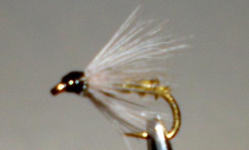 Biot Soft Hackle™ - BWO - Get Tight Gear