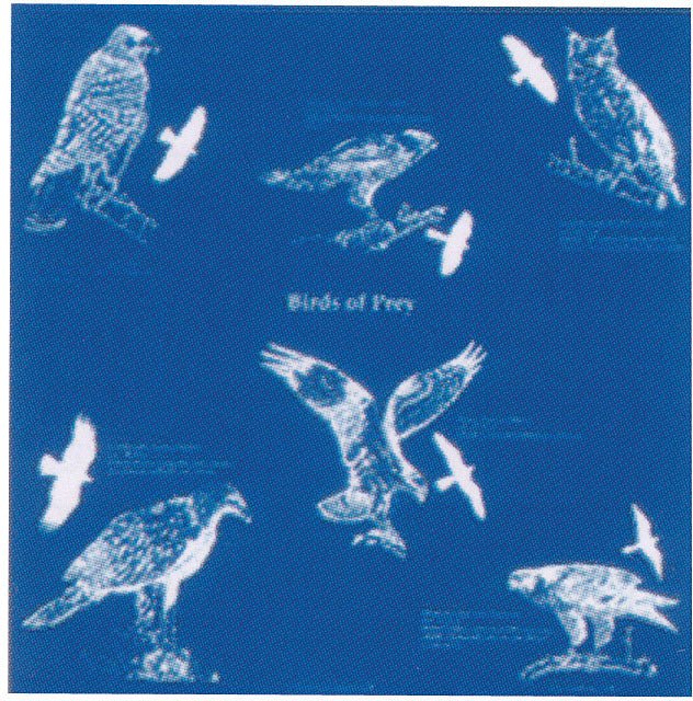 Birds Of Prey Bandana - Get Tight Gear