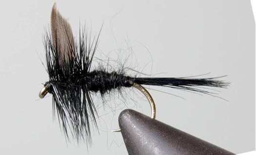 Black Gnat - Black Tail or Red Tail - Get Tight Gear