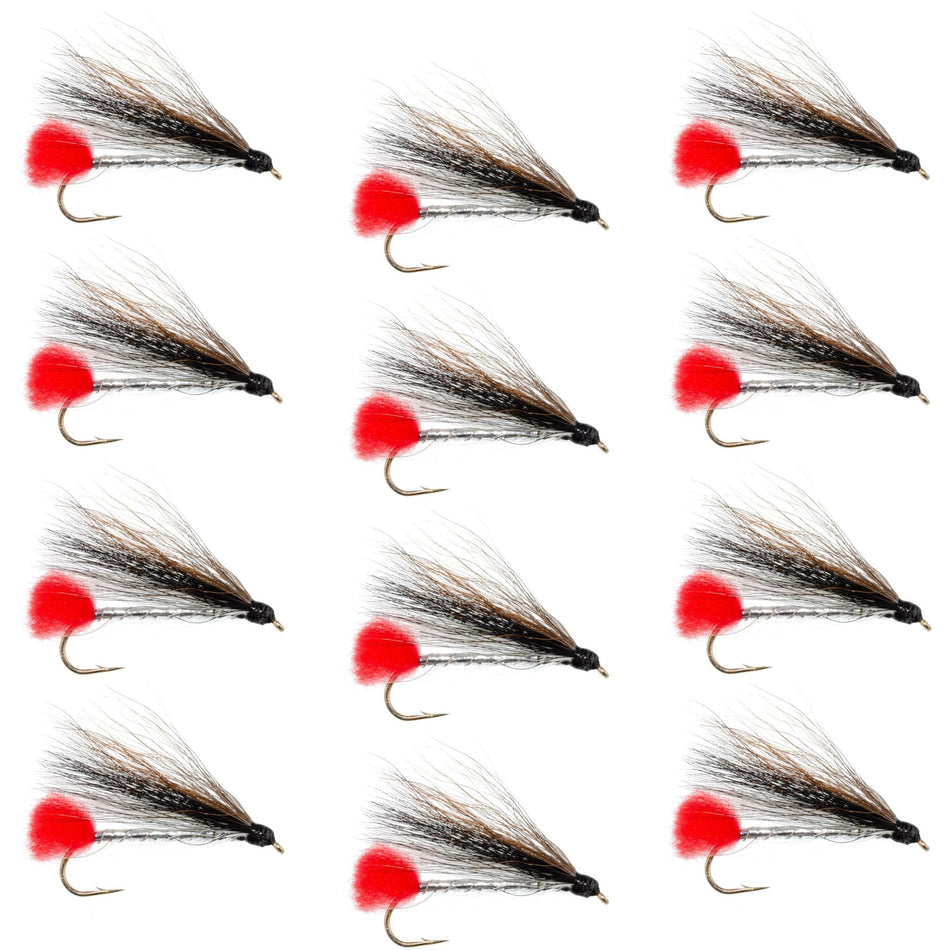 Black Nose Dace Classic Streamer Flies - Set of 12 - Hook Size 4 - Get Tight Gear