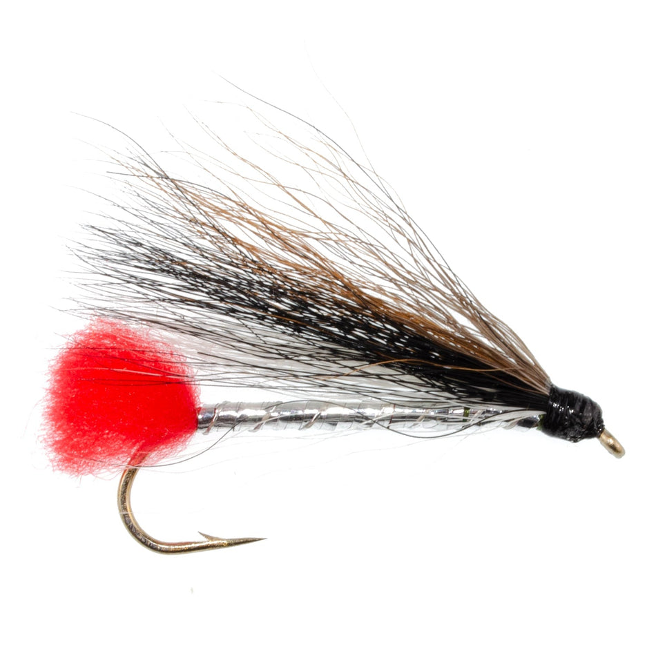 Black Nose Dace Classic Streamer Flies - Set of 6 - Hook Size 4 - Get Tight Gear