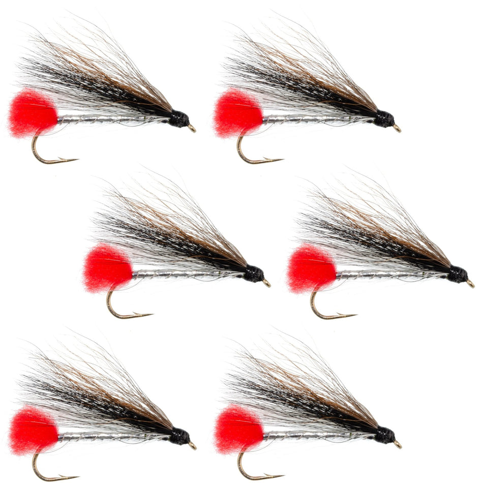 Black Nose Dace Classic Streamer Flies - Set of 6 - Hook Size 4 - Get Tight Gear