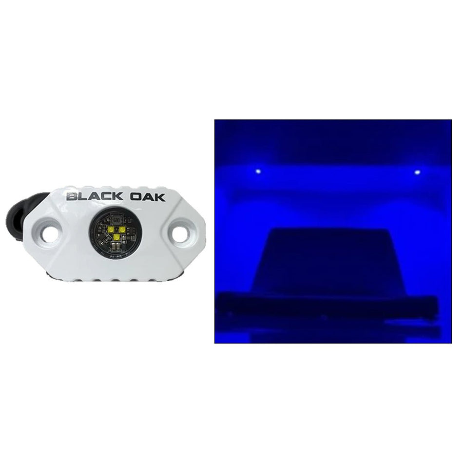 Black Oak Rock Accent Light - Blue LEDs - White Housing - Get Tight Gear