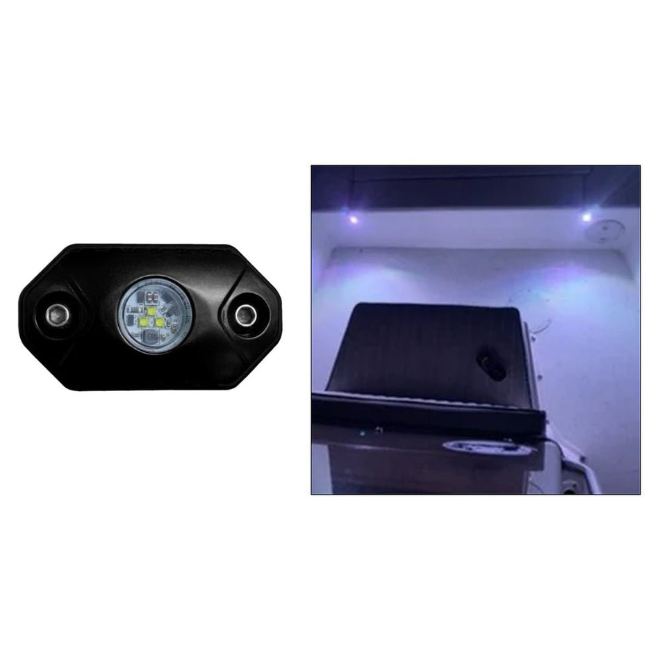 Black Oak Rock Accent Light - White - Black Housing - Get Tight Gear