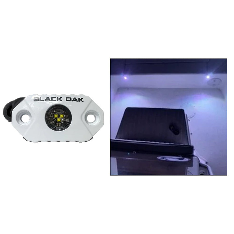 Black Oak Rock Accent Light - White LEDs - White Housing - Get Tight Gear