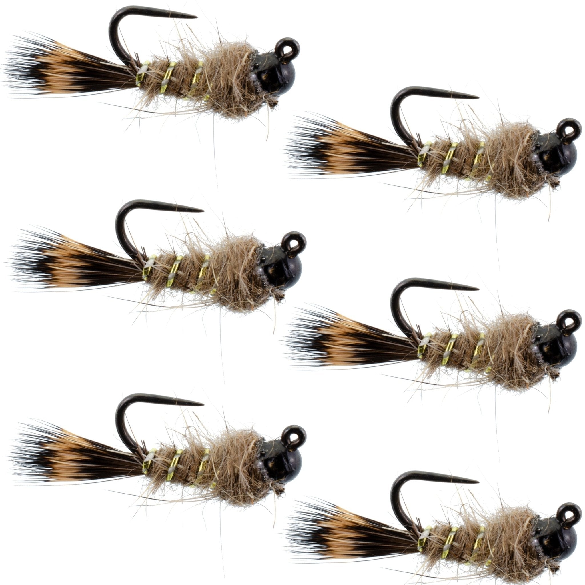 Black Tungsten Bead Tactical Hares Ear Czech Nymph Euro Nymphing Fly - 6 Flies Size 12 - Get Tight Gear