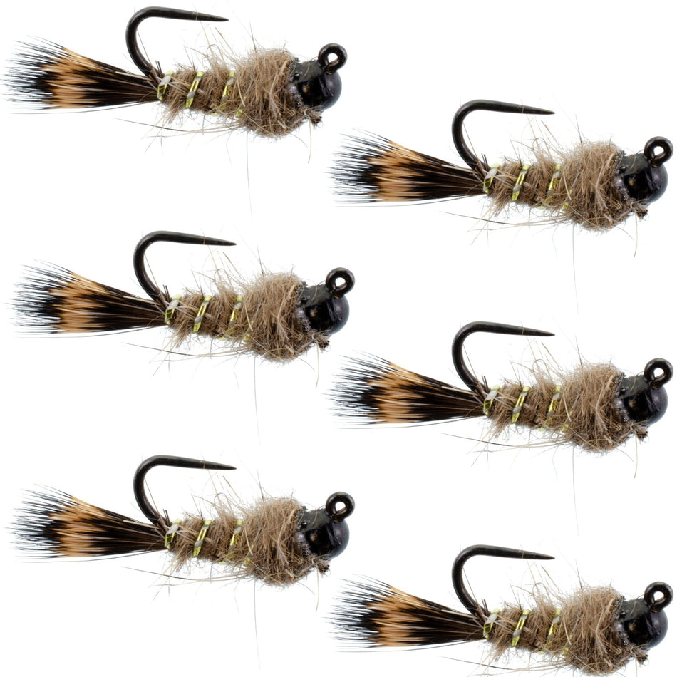 Black Tungsten Bead Tactical Hares Ear Czech Nymph Euro Nymphing Fly - 6 Flies Size 12 - Get Tight Gear