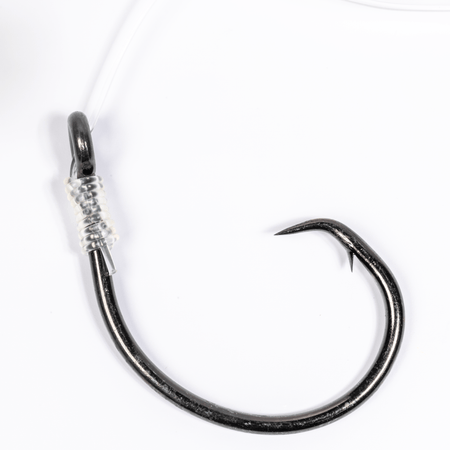 BlacktipH Mustad Live Bait Rigs with 10/0 Black Nickel Circle Hook and Premium Rosco Swivel - Large 5 Pack - Get Tight Gear