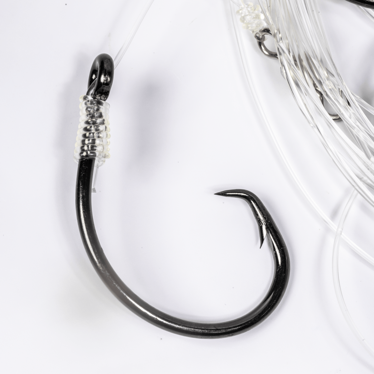 BlacktipH Mustad Live Bait Rigs with 7/0 Black Nickel Circle Hook and Premium Rosco Swivel - Medium 5 Pack - Get Tight Gear