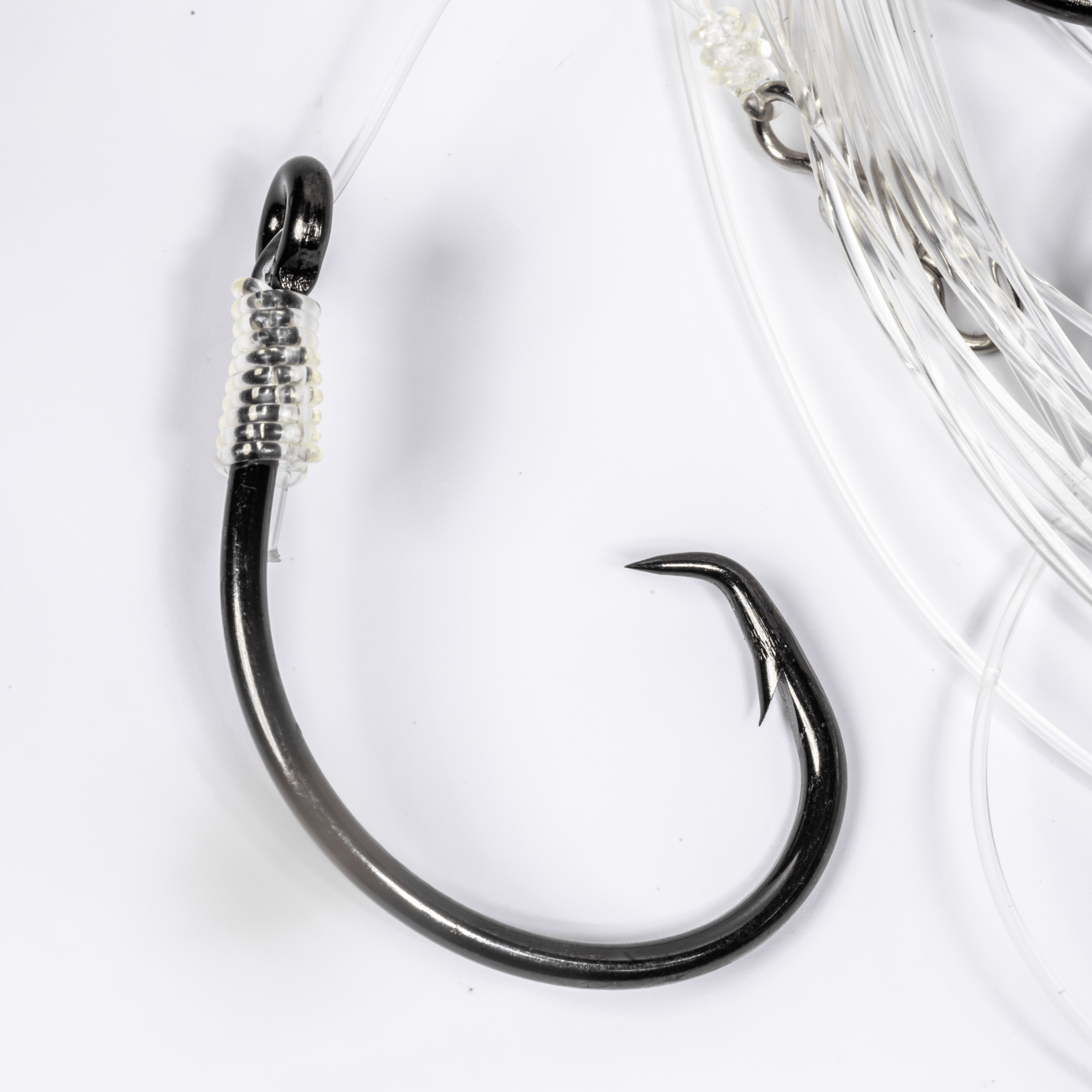 BlacktipH Mustad Live Bait Rigs with 7/0 Black Nickel Circle Hook and Premium Rosco Swivel - Medium 5 Pack - Get Tight Gear
