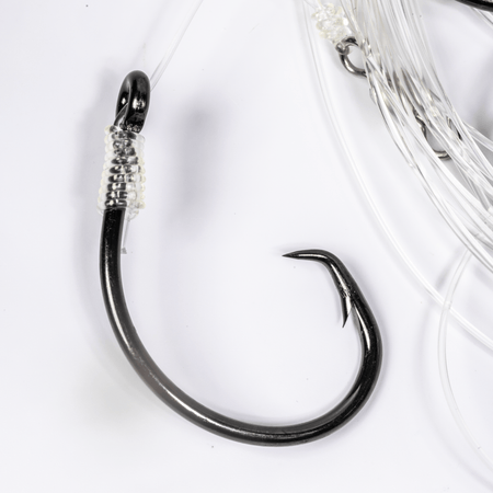 BlacktipH Mustad Live Bait Rigs with 7/0 Black Nickel Circle Hook and Premium Rosco Swivel - Medium 5 Pack - Get Tight Gear