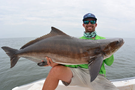 BlacktipH Mustad Live Bait Rigs with 7/0 Black Nickel Circle Hook and Premium Rosco Swivel - Medium 5 Pack - Get Tight Gear