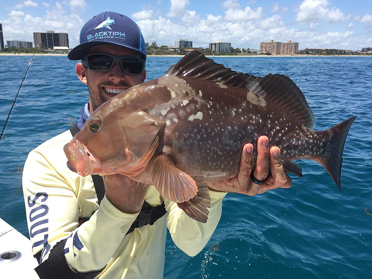 BlacktipH Mustad Live Bait Rigs with 7/0 Black Nickel Circle Hook and Premium Rosco Swivel - Medium 5 Pack - Get Tight Gear