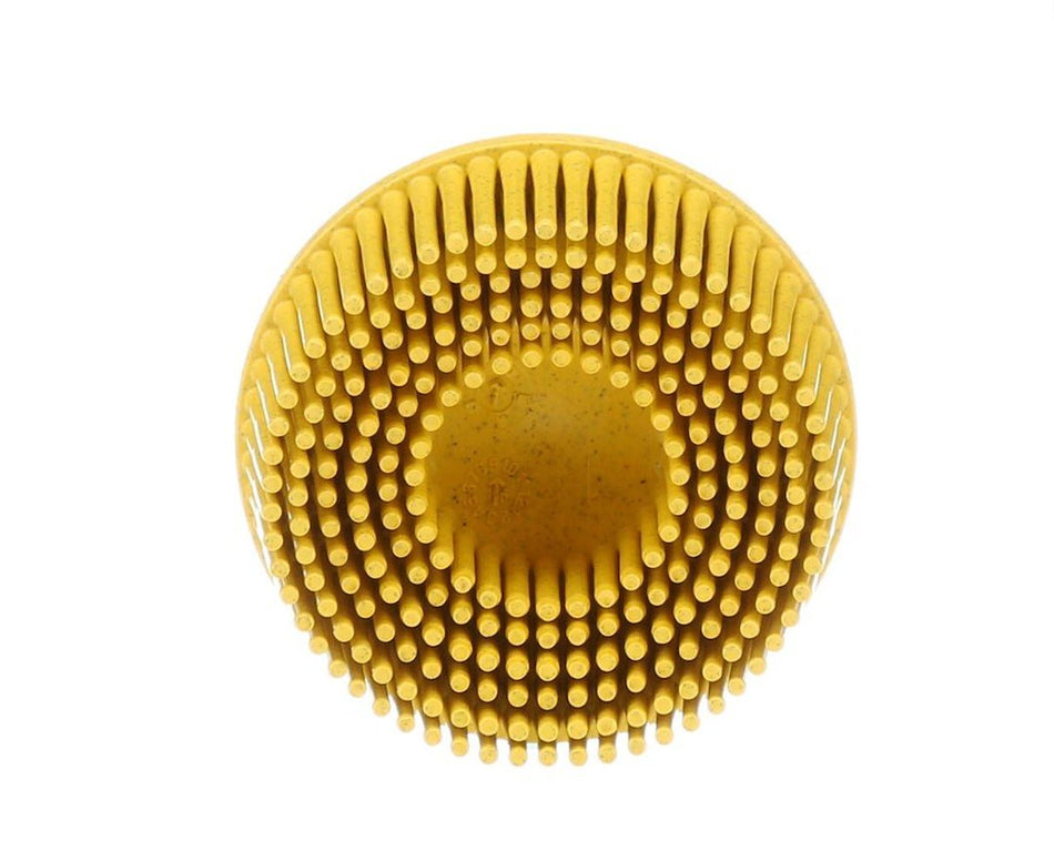 BRISTLE DISC YEL 10/BOX - Get Tight Gear