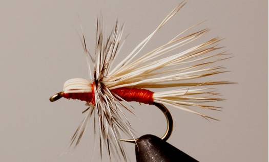 Buck Caddis - Orange - Get Tight Gear
