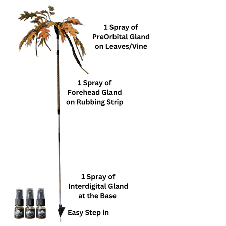 BuckStik w/ 3 pack of Glands - Get Tight Gear