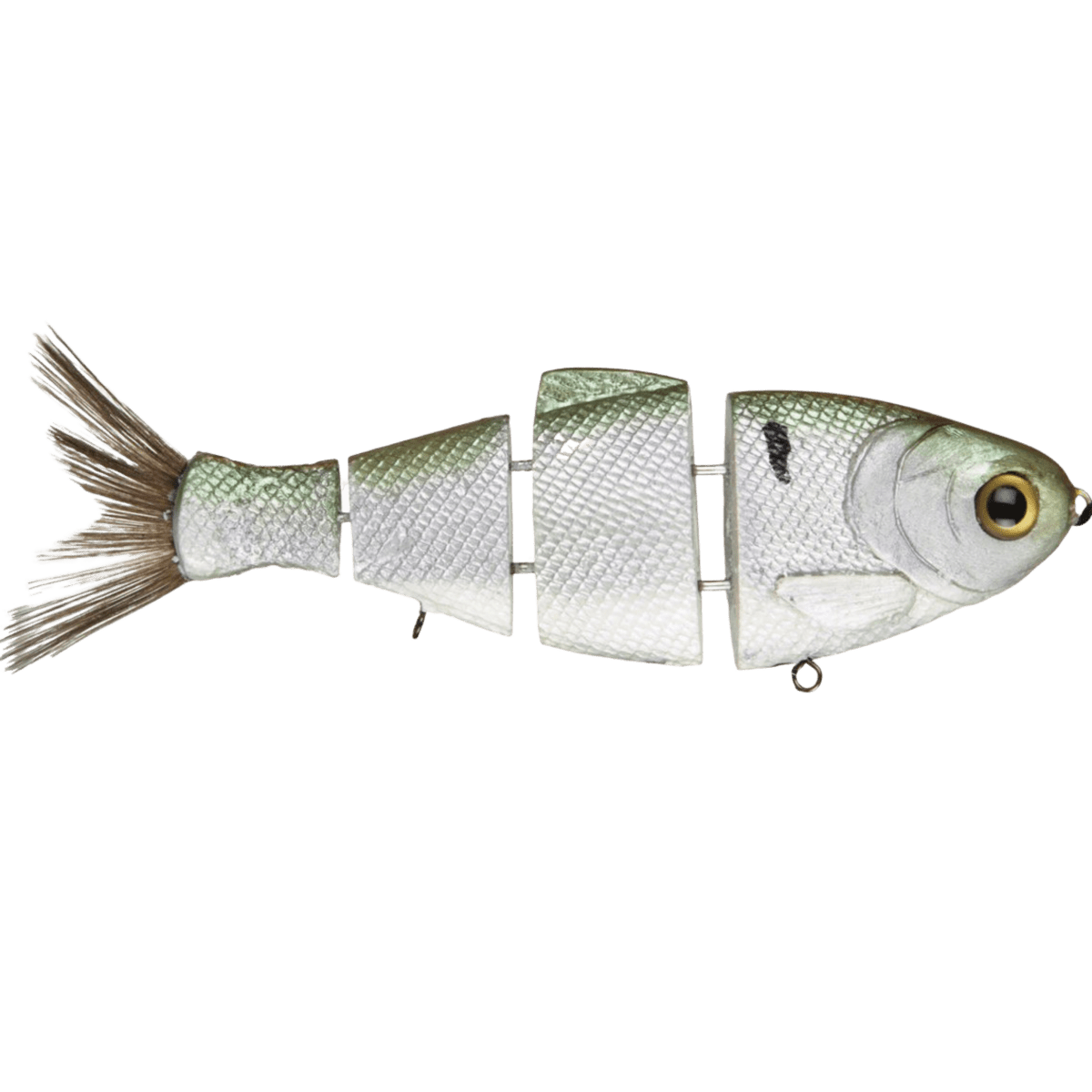 Bull Shad Fast Sink Swimbaits - Get Tight Gear