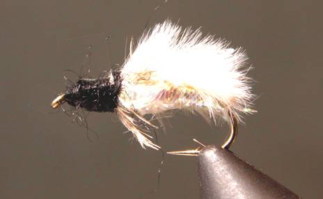 Caddis Pupa - Get Tight Gear