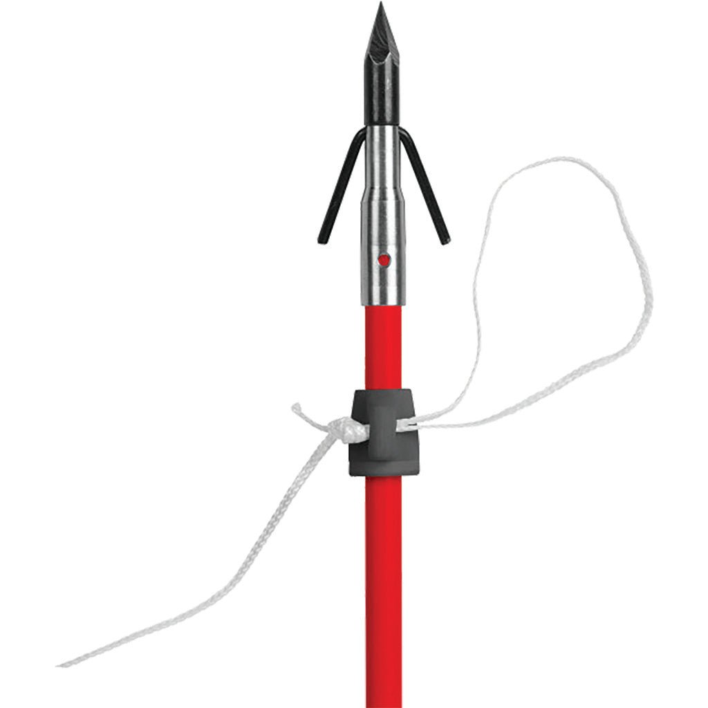 Cajun Pro Slides 5 pk. - Get Tight Gear