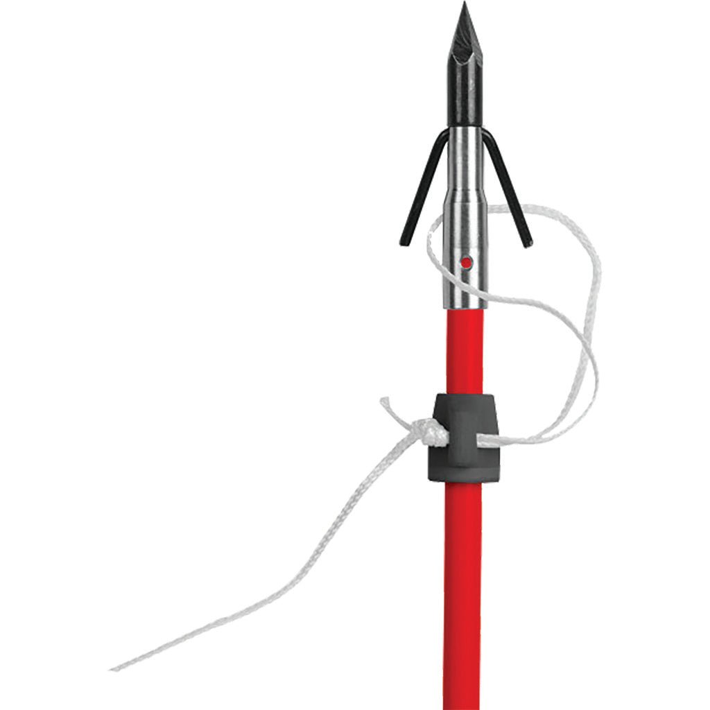 Cajun Pro Slides 5 pk. - Get Tight Gear