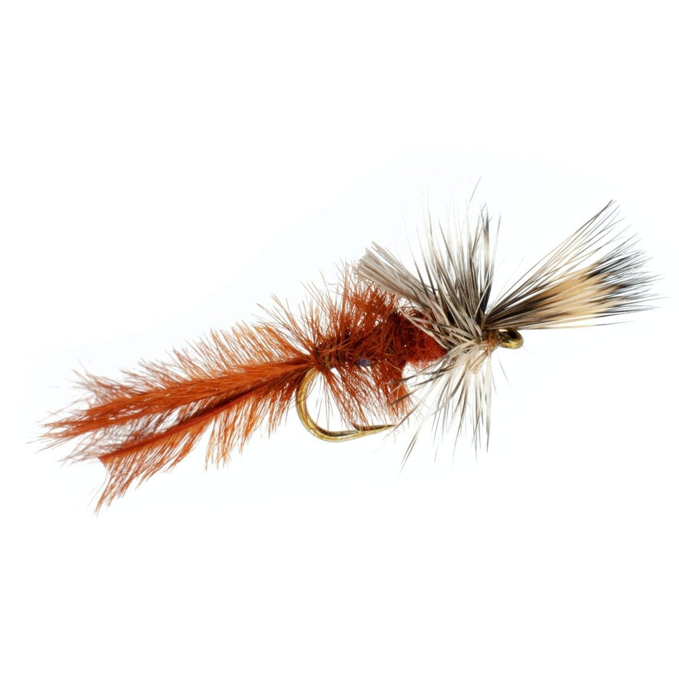 Callibaetis Cripple Mayfly 12 Flies Hook Size 16 - Get Tight Gear