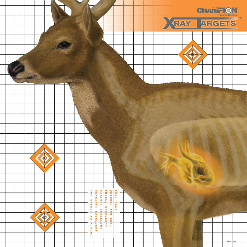 CHAMPION DEER X - RAY TARGET 6/PK - Get Tight Gear