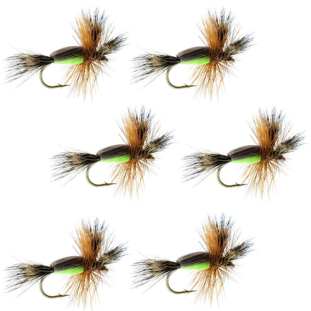 Chartreuse Humpy Classic Hair Wing Dry Fly - 6 Flies Hook Size 10 - Get Tight Gear