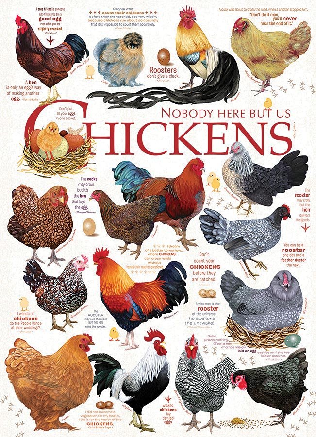 Chicken Quotes Puzzle - Get Tight Gear