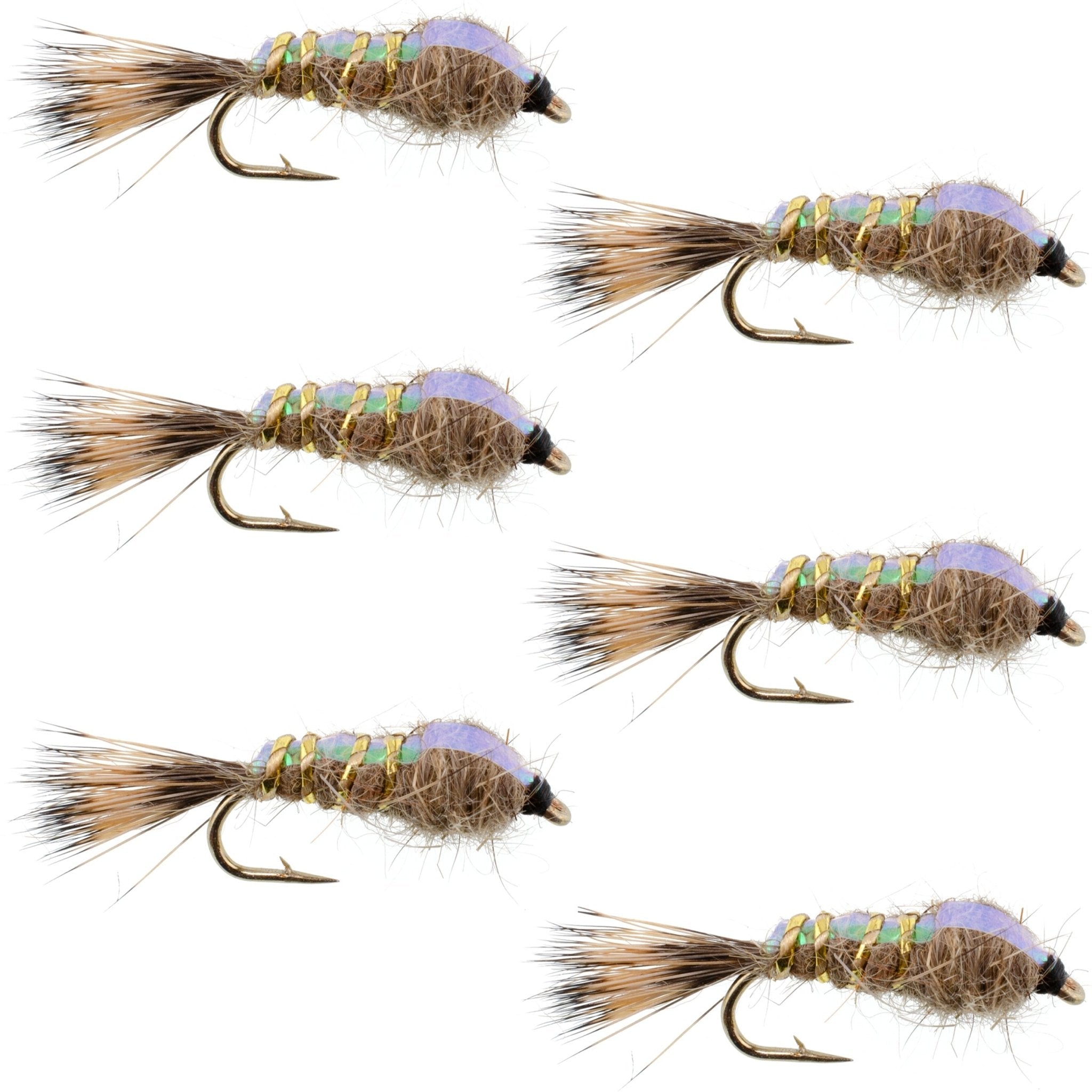 Classic Weighted Flashback Gold Ribbed Hares Ear Nymph - Set of 6 Flies - Size 12 - Get Tight Gear