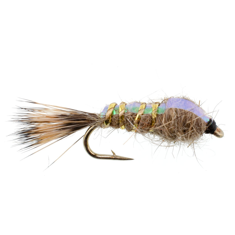 Classic Weighted Flashback Gold Ribbed Hares Ear Nymph - Set of 6 Flies - Size 12 - Get Tight Gear