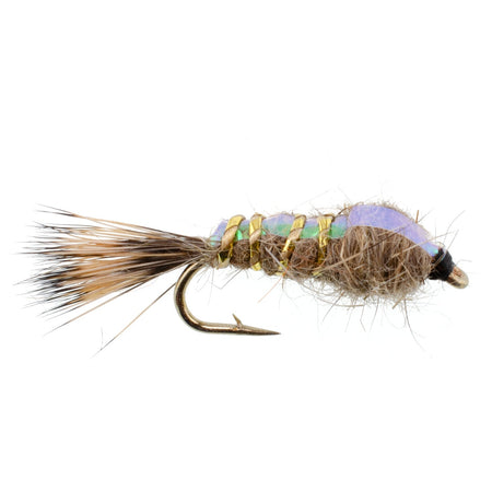 Classic Weighted Flashback Gold Ribbed Hares Ear Nymph - Set of 6 Flies - Size 16 - Get Tight Gear