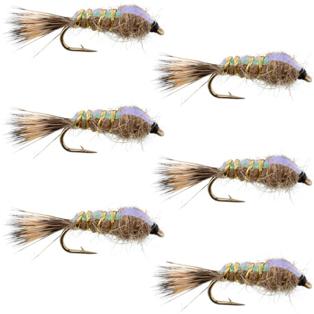 Classic Weighted Flashback Gold Ribbed Hares Ear Nymph - Set of 6 Flies - Size 16 - Get Tight Gear