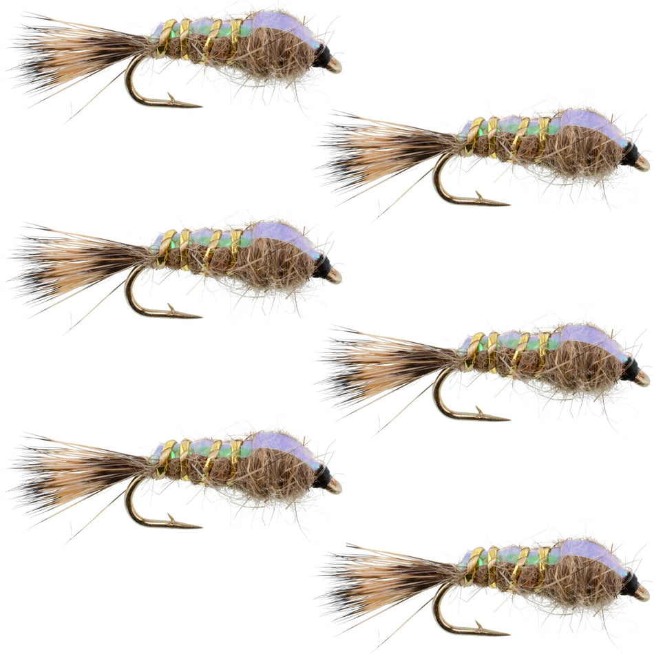 Classic Weighted Flashback Gold Ribbed Hares Ear Nymph - Set of 6 Flies - Size 16 - Get Tight Gear