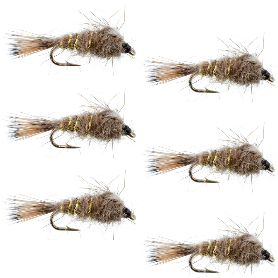 Classic Weighted Gold Ribbed Hares Ear Nymph - Set of 6 Flies - Size 10 - Get Tight Gear