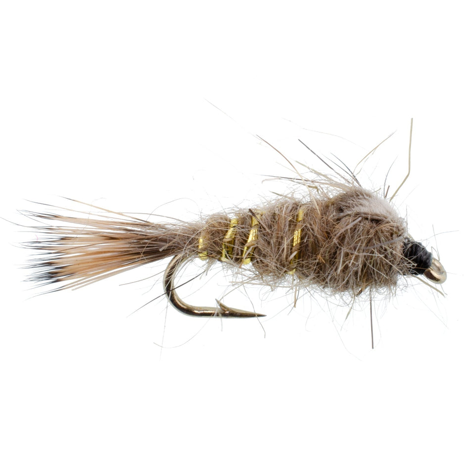 Classic Weighted Gold Ribbed Hares Ear Nymph - Set of 6 Flies - Size 16 - Get Tight Gear