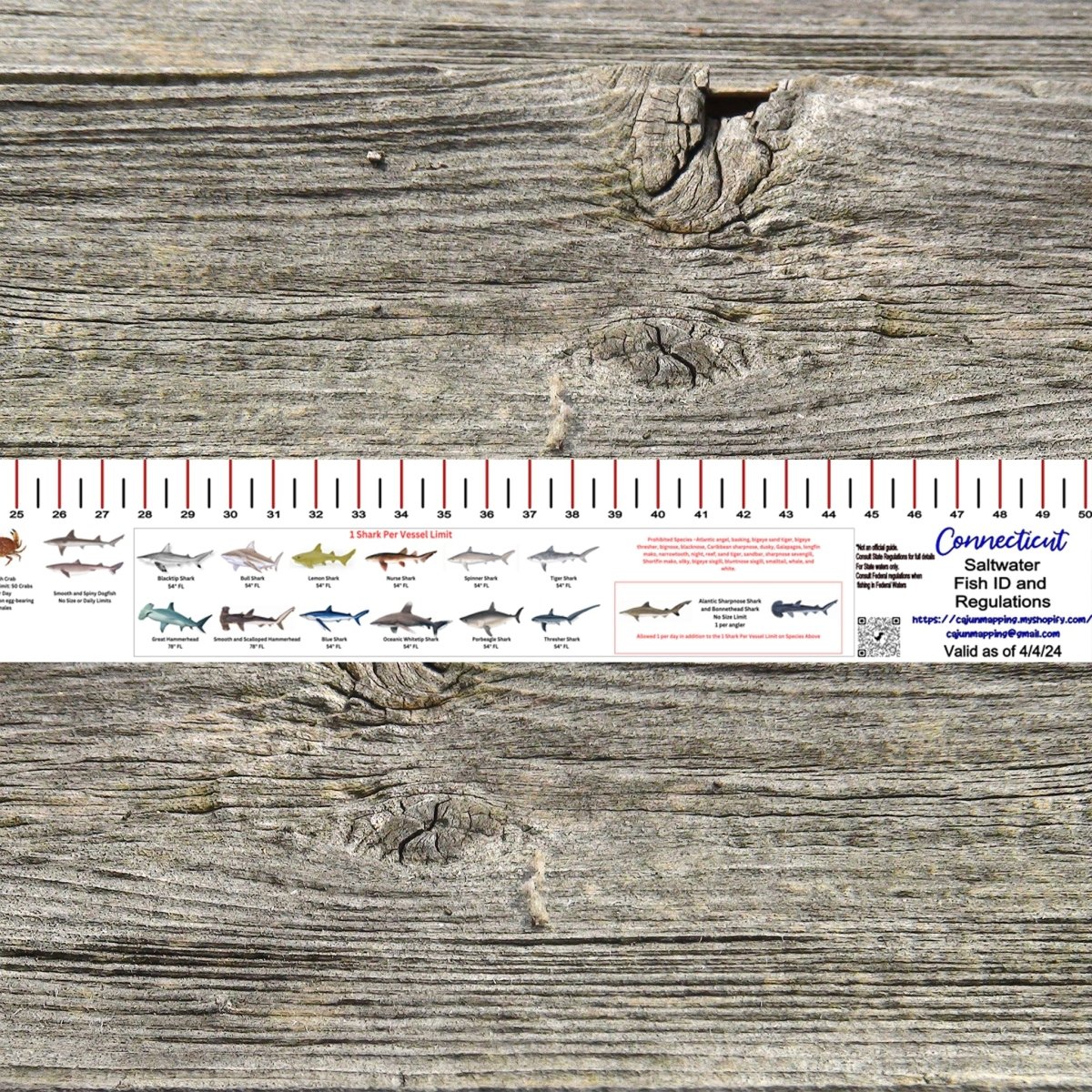 CONNECTICUT SALT WATER RULER 50 INCH FISH ID AND STATE REGULATIONS FISH RULER DECAL - Get Tight Gear