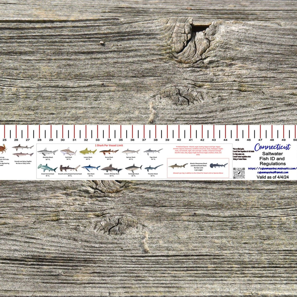 CONNECTICUT SALT WATER RULER 50 INCH FISH ID AND STATE REGULATIONS FISH RULER DECAL - Get Tight Gear