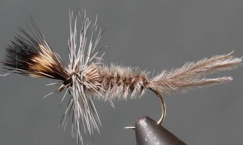Crane Fly Larva - Grey - Get Tight Gear