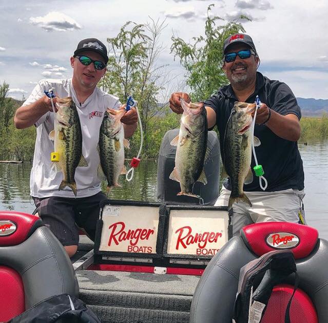 CULL BANDIT - Safe Culling System - Get Tight Gear