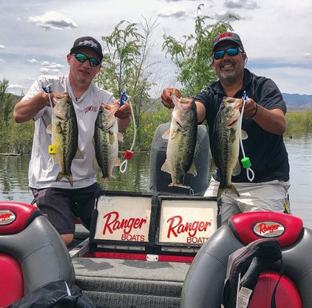 CULL BANDIT - Safe Culling System - Get Tight Gear