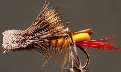 Dave's Foam Hopper - Get Tight Gear