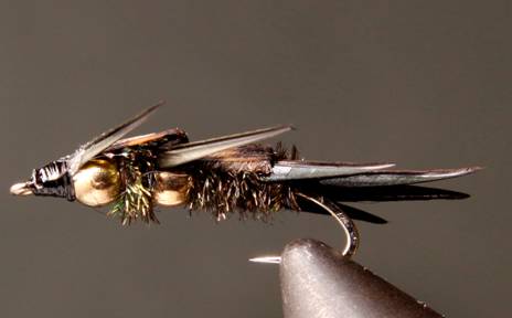 DB Peacock Stonefly Nymphs - Get Tight Gear