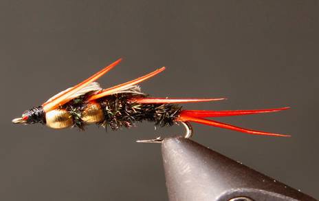 DB Peacock Stonefly Nymphs - Get Tight Gear