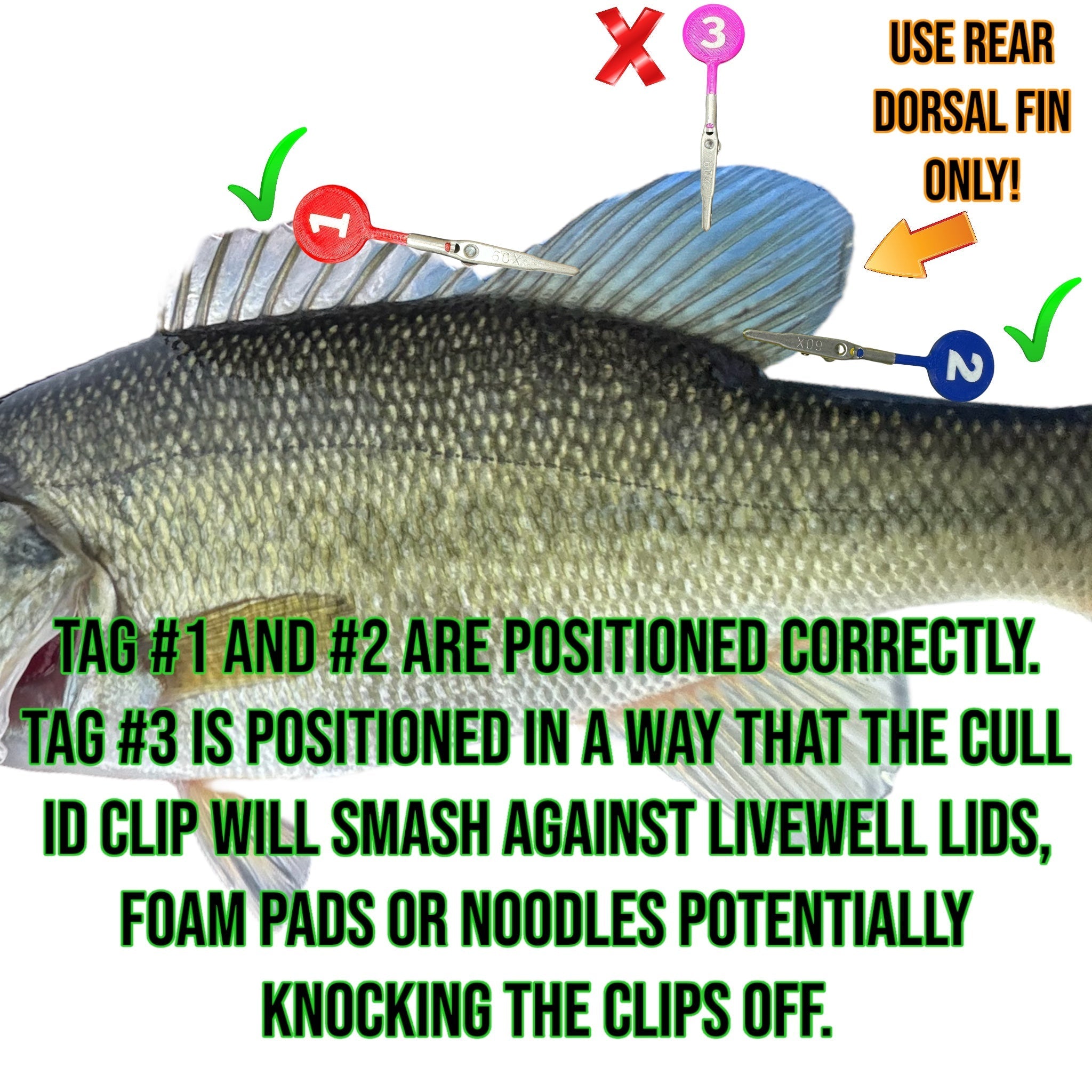 DD26 Fishing CULL ID tags - Get Tight Gear