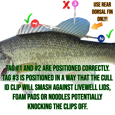DD26 Fishing CULL ID tags - Get Tight Gear