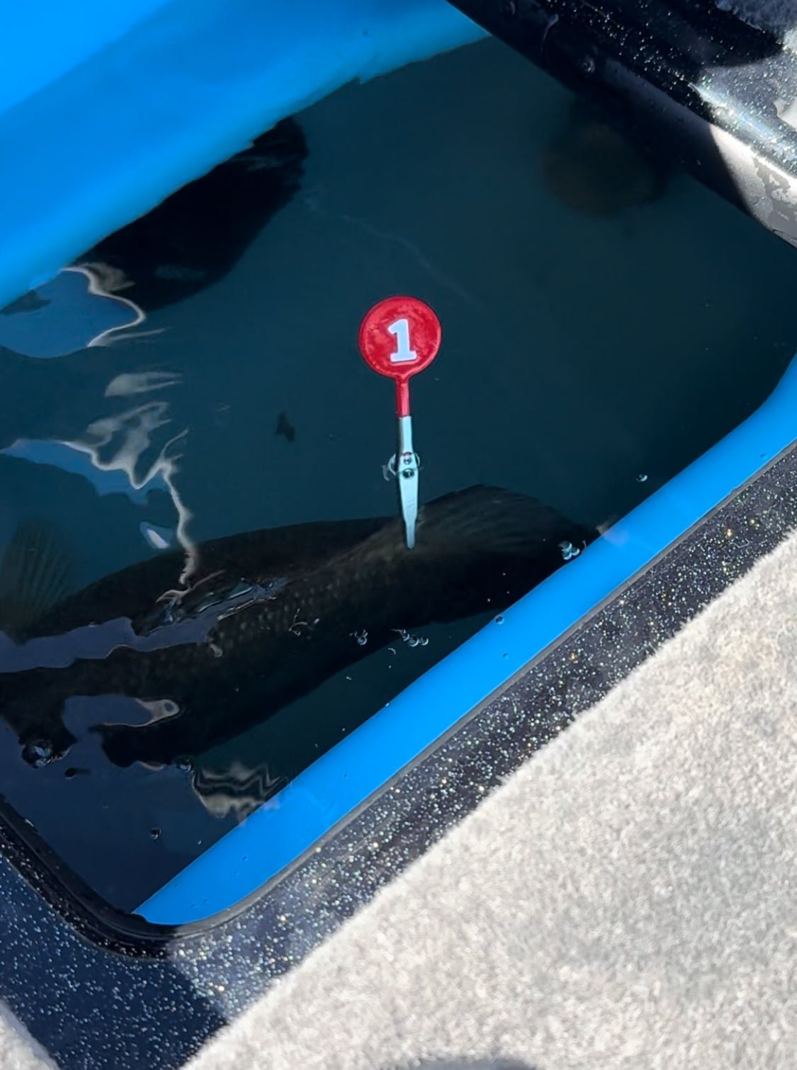 DD26 Fishing CULL ID tags - Get Tight Gear